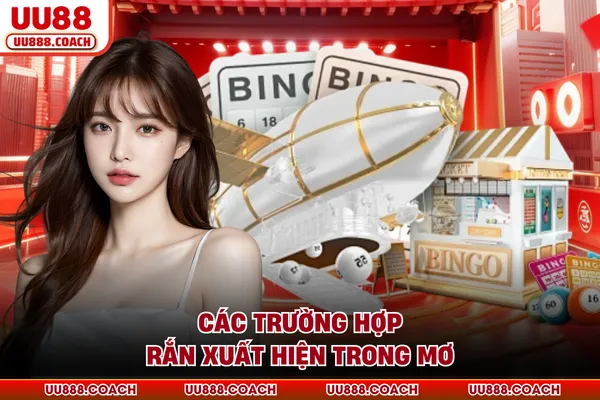 Các trường hợp rắn xuất hiện trong mơ